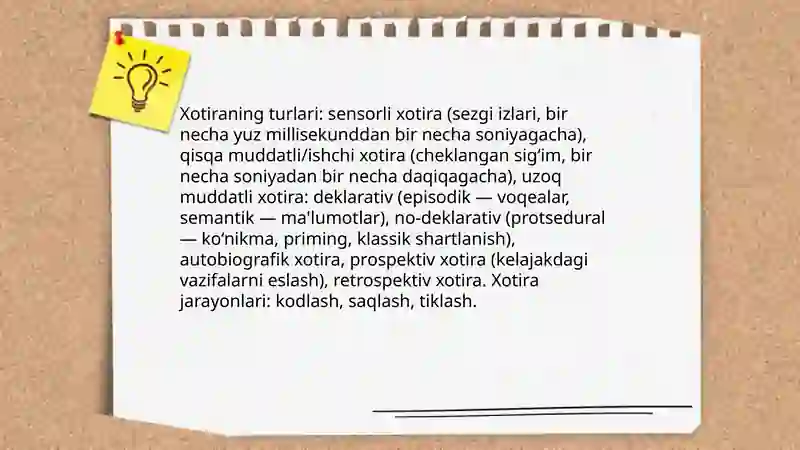Xotira 3
