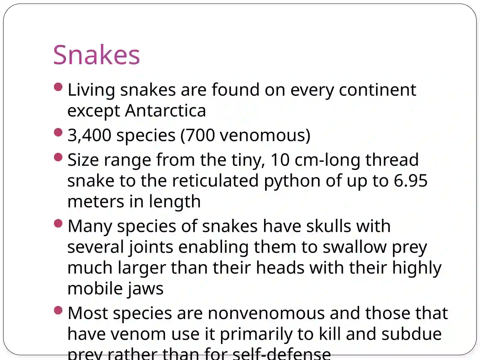 Snake Bites 3