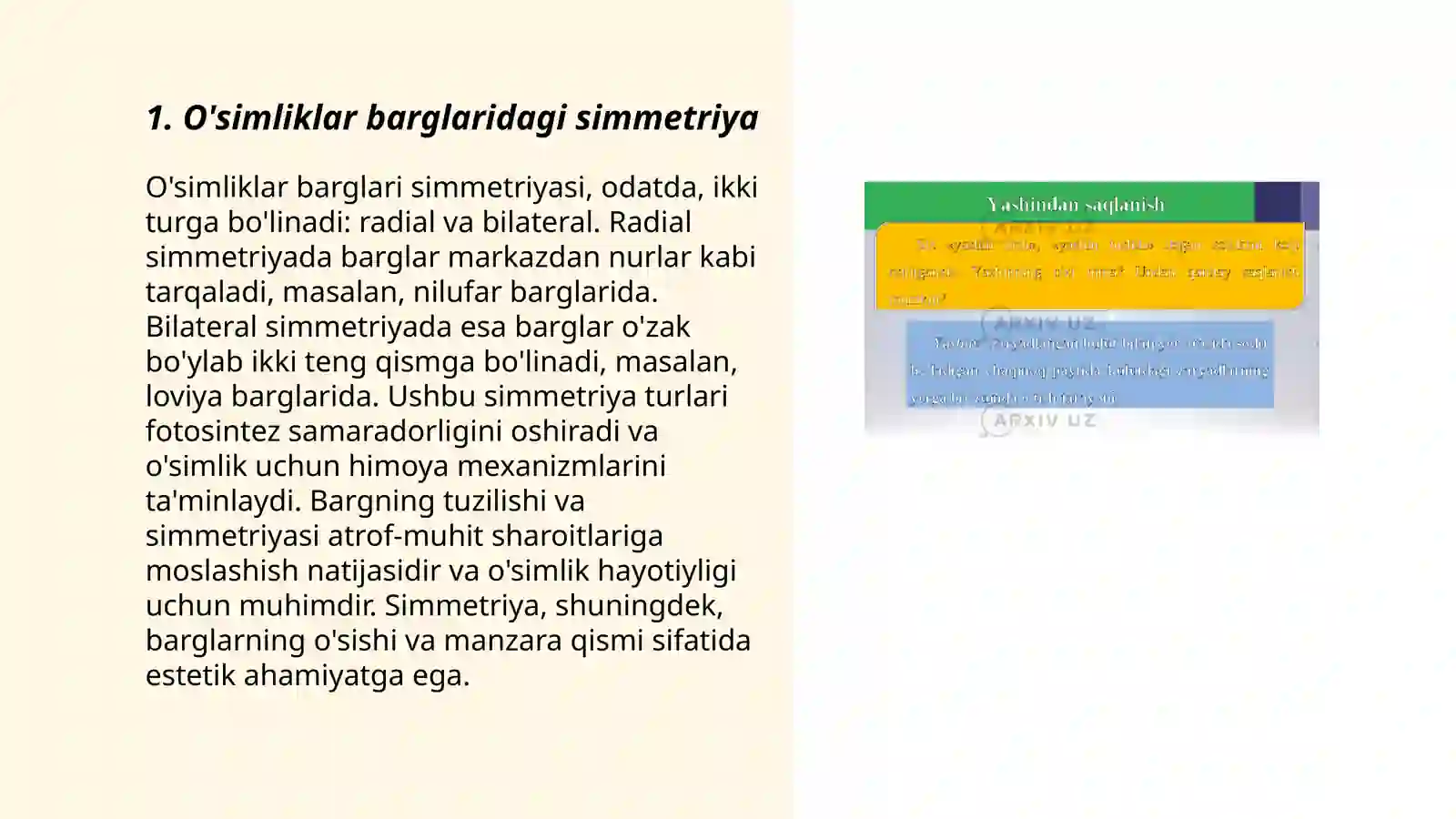 Tabiatdagi simmetriya 3