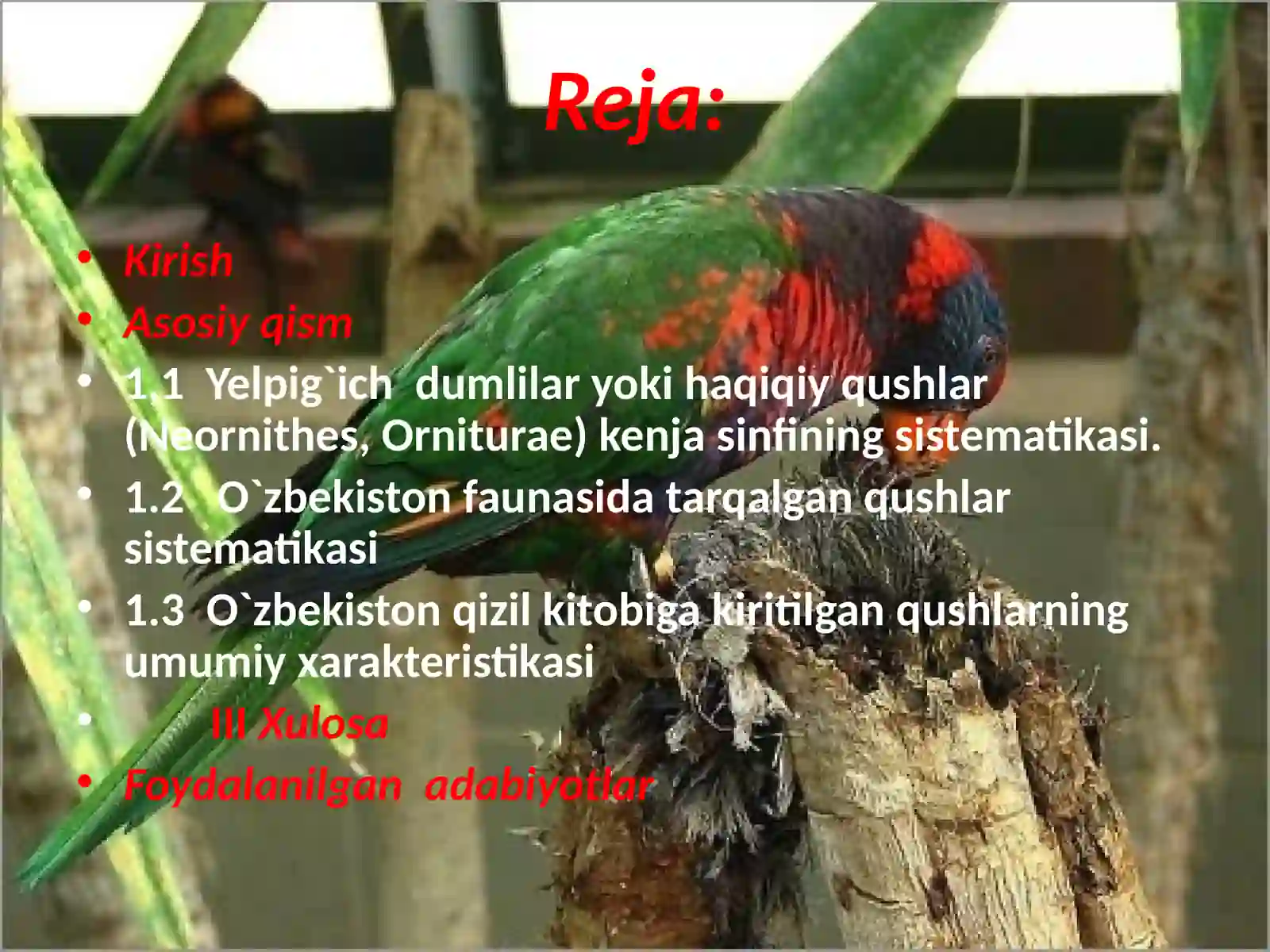 Qushlar sinfining sistematikasi 3