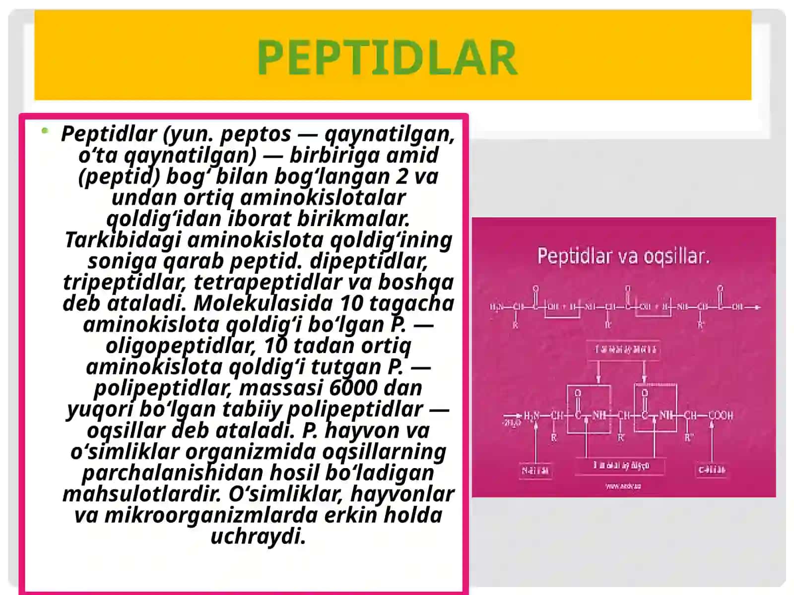 Oqsiltabiatli peptidlar va gormonlar 3