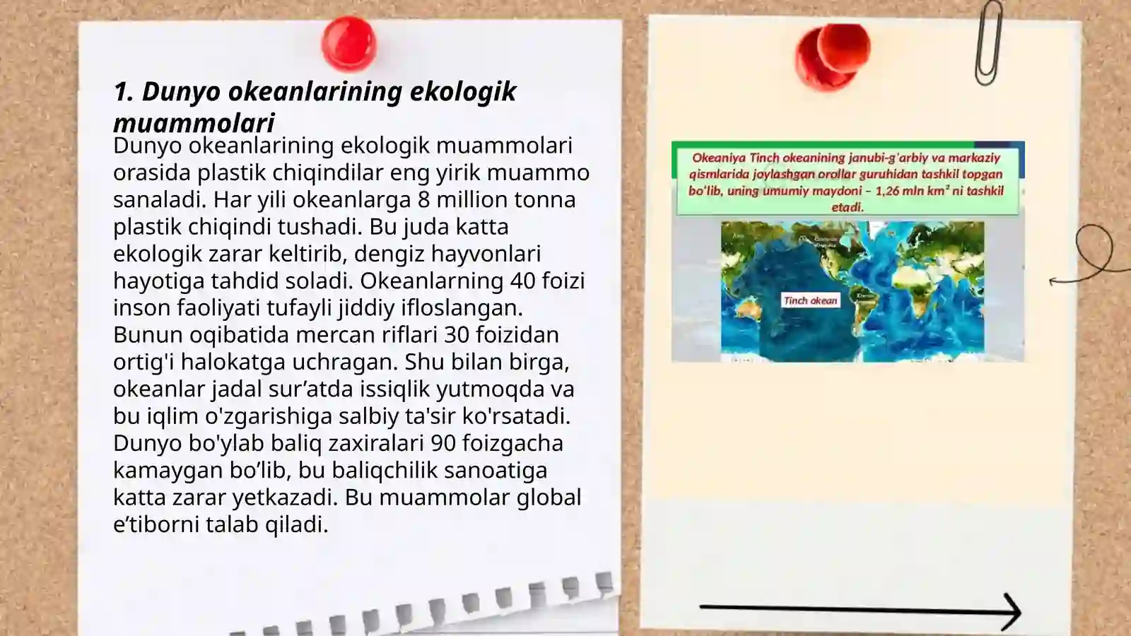 Dunyo okeani biomlari 3