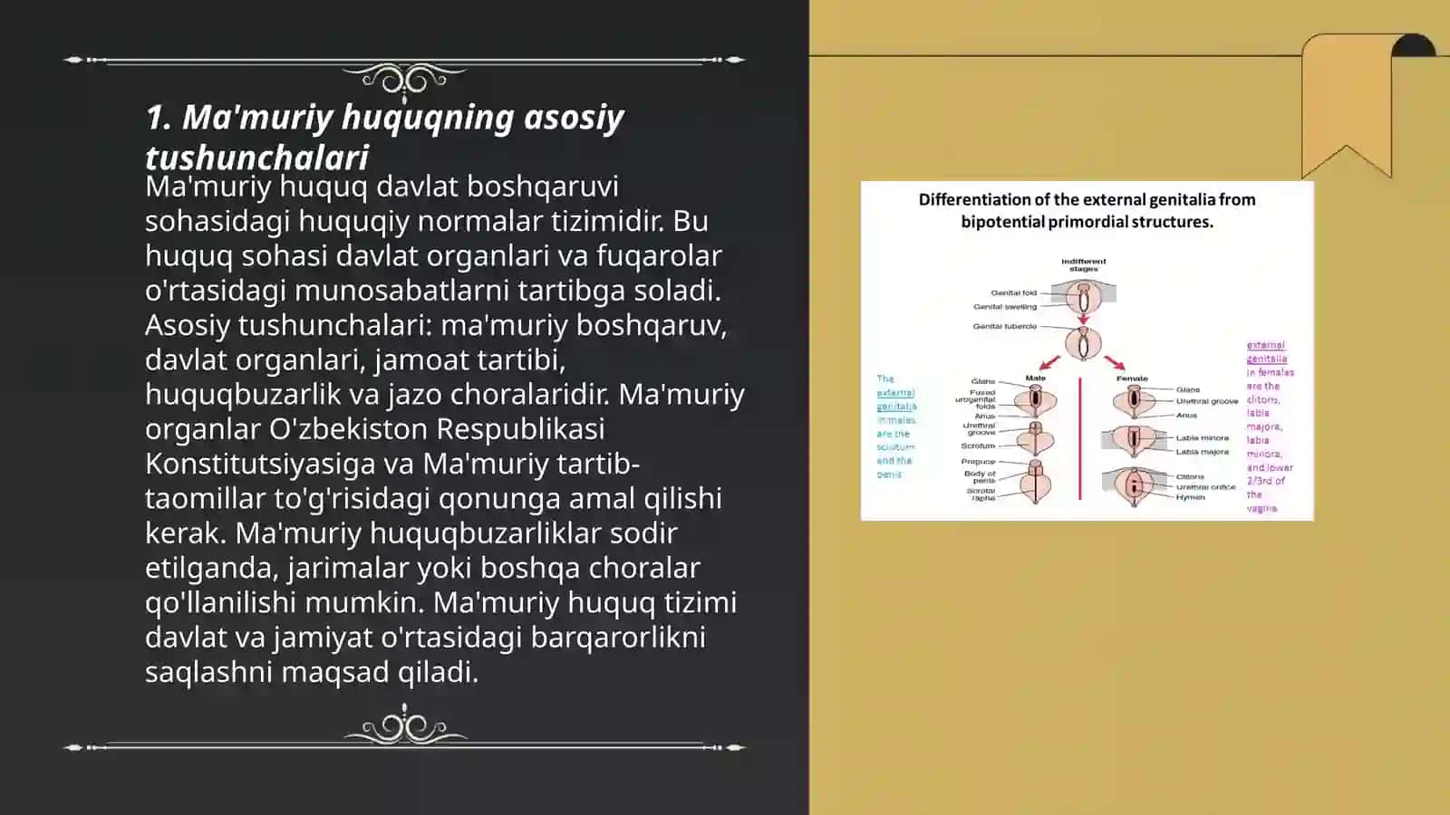 Ma'muriy huquq tushunchasi va predmeti 3