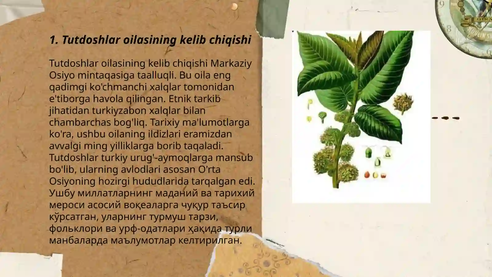 Tutdoshlar oilasi 3