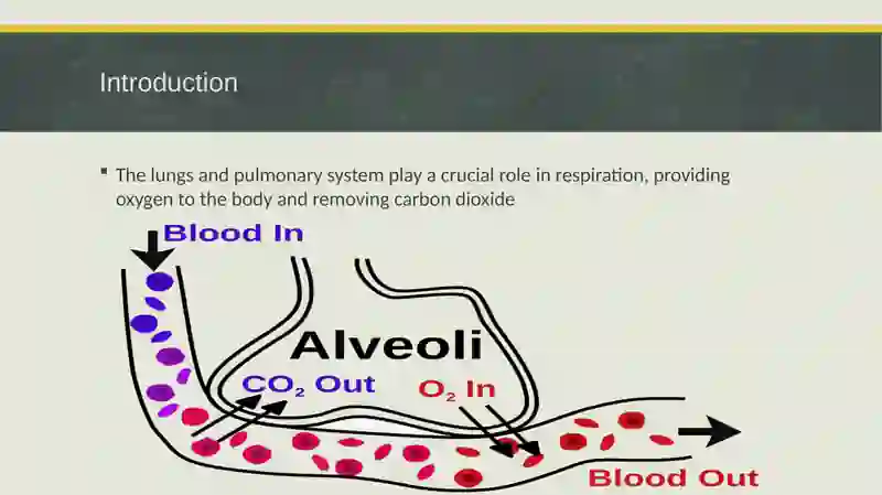 LUNGS AND PULMONARY SYSTEM 3