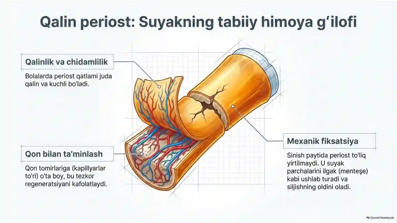 BOLALARDA SUYAK SHIKASTLARINING O‘ZIGA XOS XUSUSIYATLARI | 15 SLAYDLI TIBBIY TAQDIMOT 3