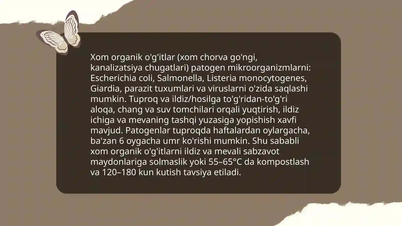 Ildiz mevali sabzavotlar yetishtiriladigan yerlarga organik o'g'itlarni solinmaslik sabablari 3