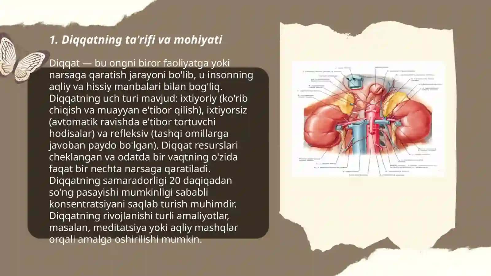 Diqqat va sezgi hagida tushuncha, uning nerv-fiziologik asoslari 3