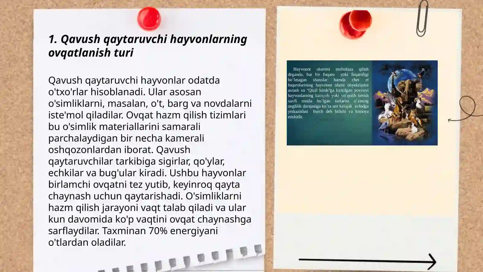 Kavush qaytaruvchi hayvonlarning ozuqasini hazm boʻlishi 3