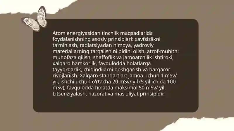 Atom energiyasidan tinchlik maqsadlarida foydalanish prinsiplari 3