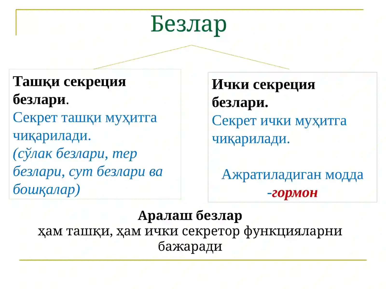 Endokrin tizim fiziologiyasi 3