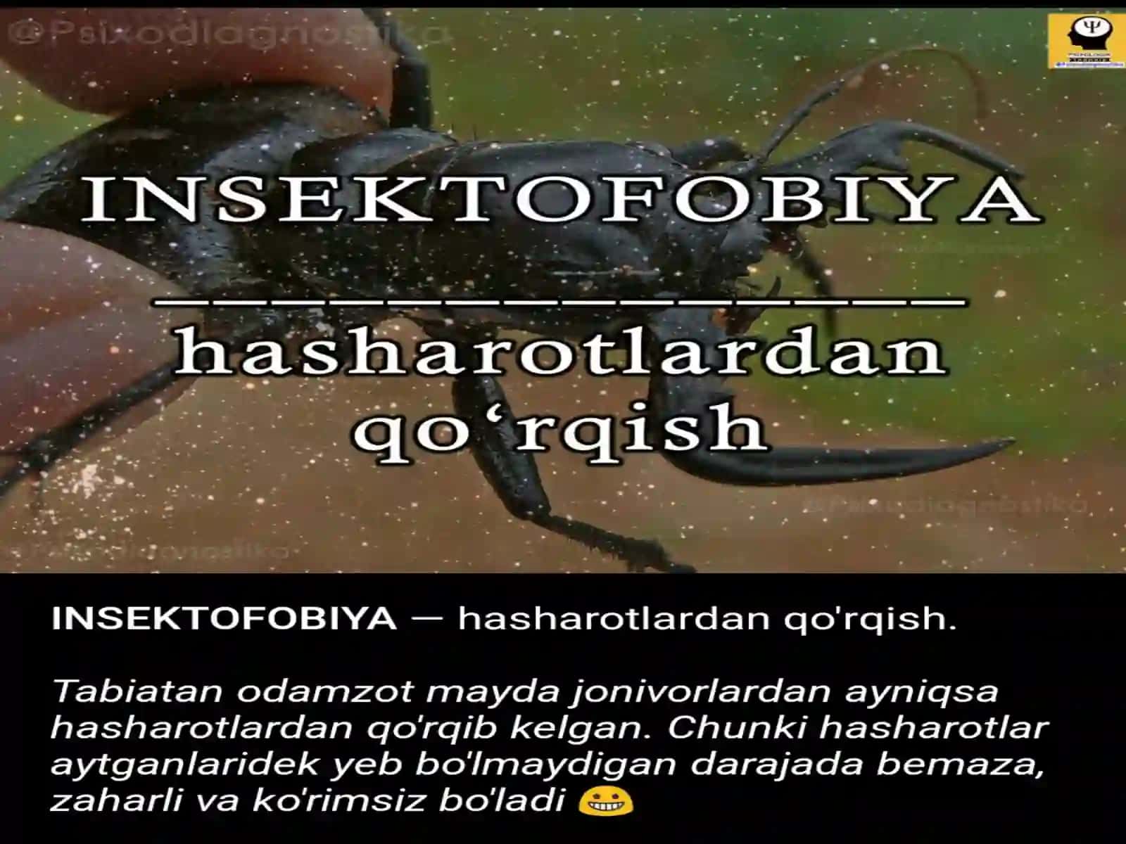 Psixologik qo'rquv turlari 3