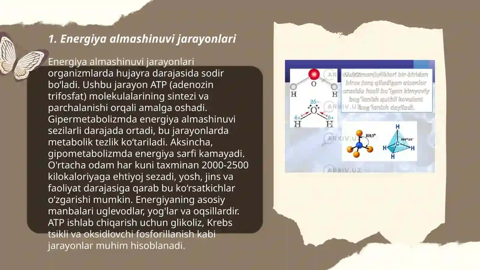 Metabolizm jarayonida energiya hosil bolishi va sarflanishi 3