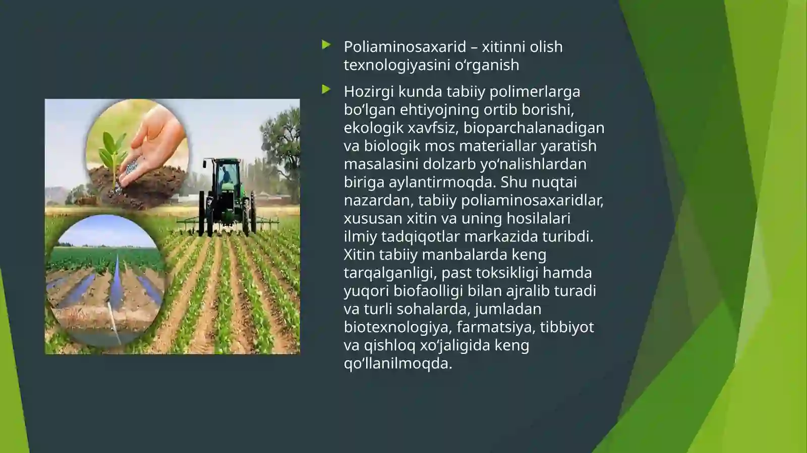 Hashoratlardan ozuqaviy oqsillar ishlab chiqarish texnologiyasi 3