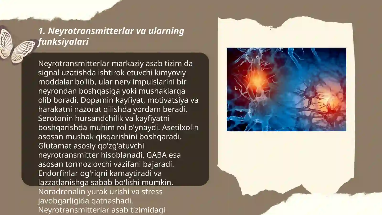Neytrotransmitterlar va gormonlar 3