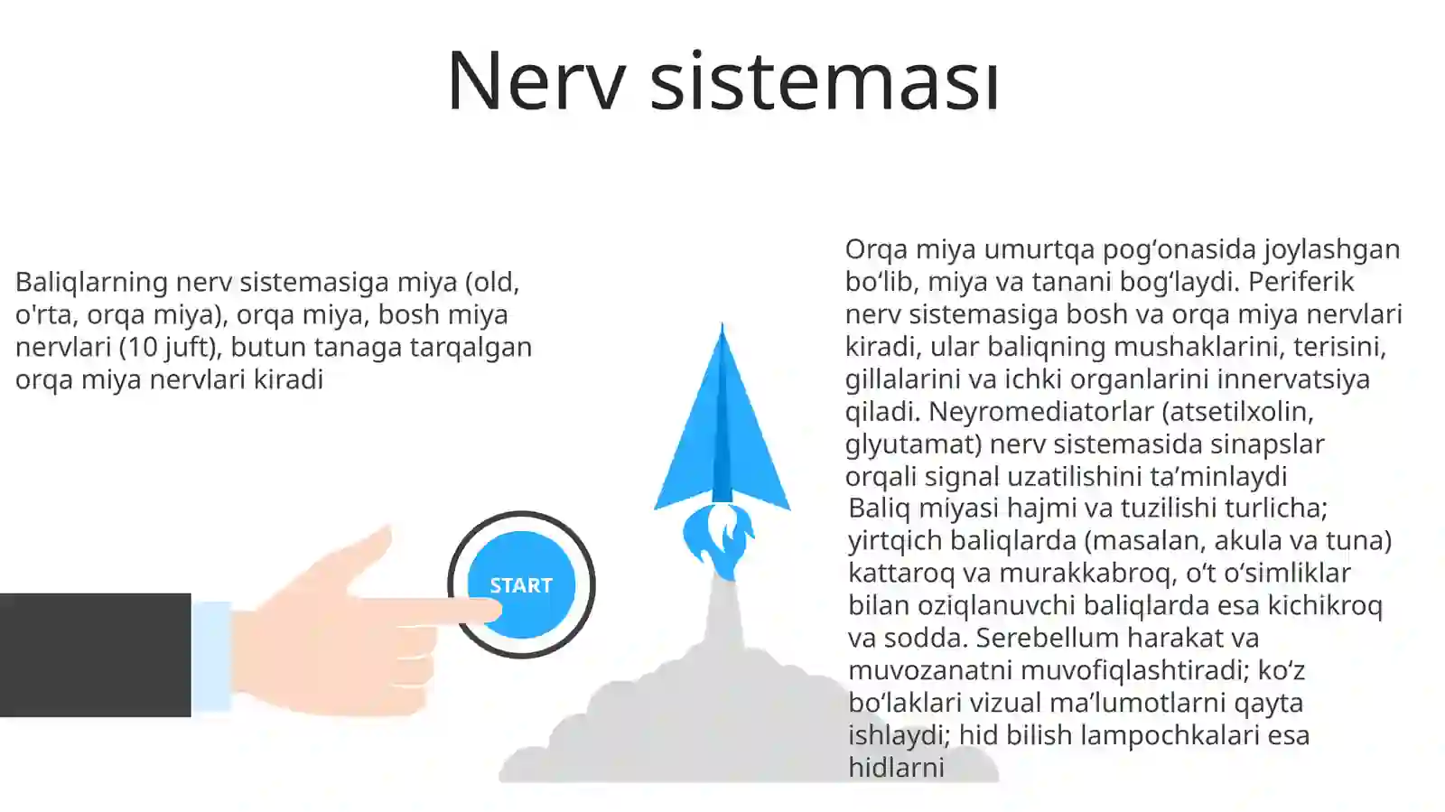 Suyakli baliqlarning tuzilishi va hayot kechirishi 3