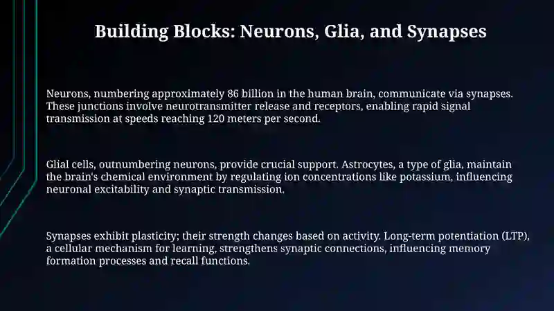 BRAIN AND NERVOUS SYSTEM 3