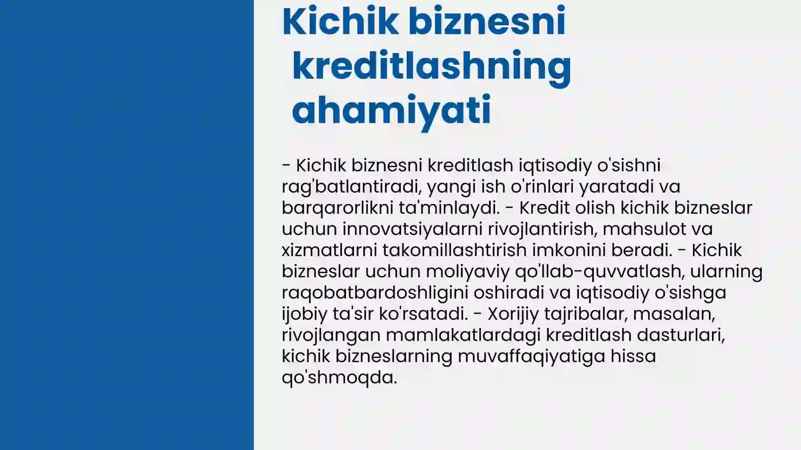 Kichik biznesni kreditlashda xorijiy davlatlarning tajribasi 3