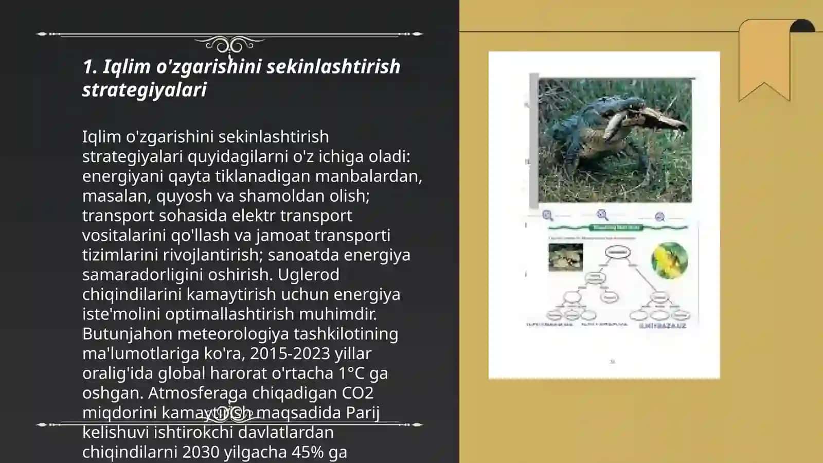 Antropogenning biosferaga ta'sirini kamaytirish uchun kurashamiz 3
