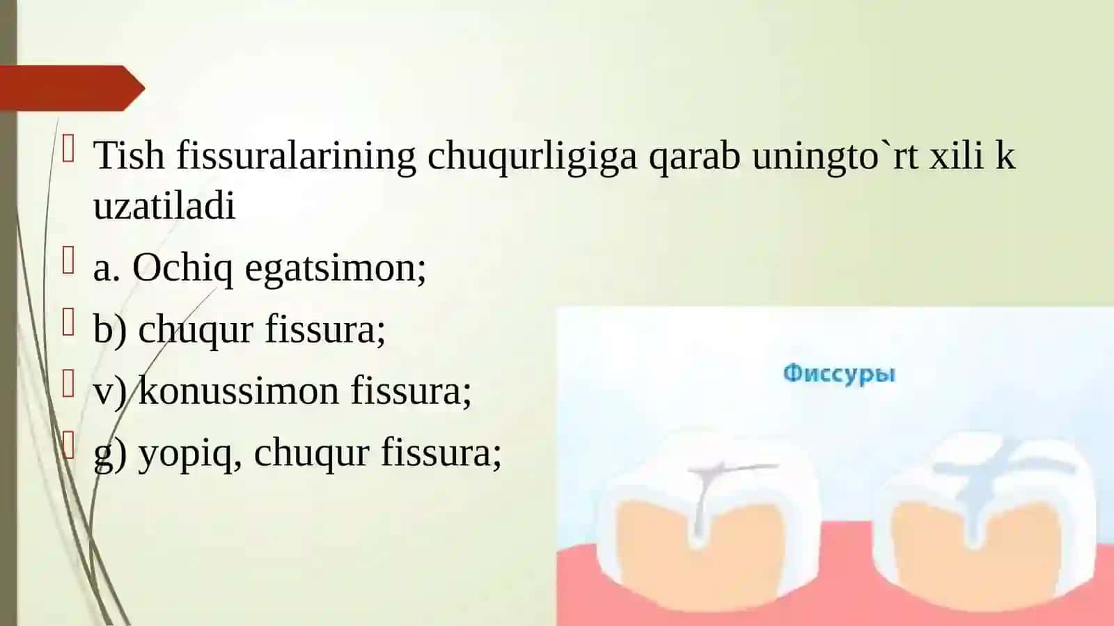 Fissur germetiklar 3