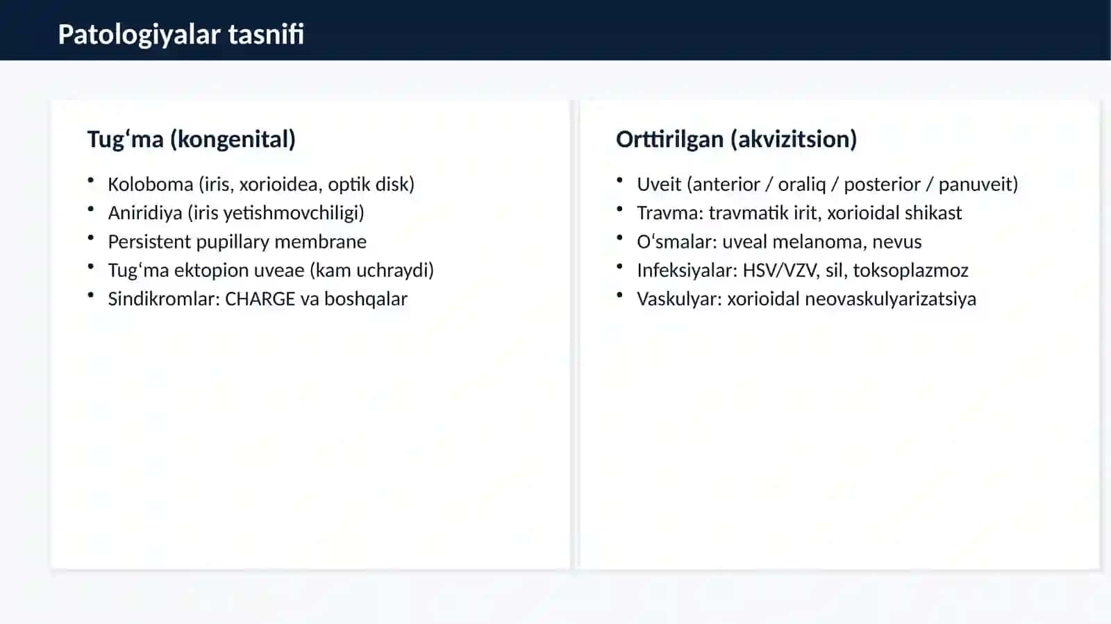 Tomirli qavat (uvea) 3