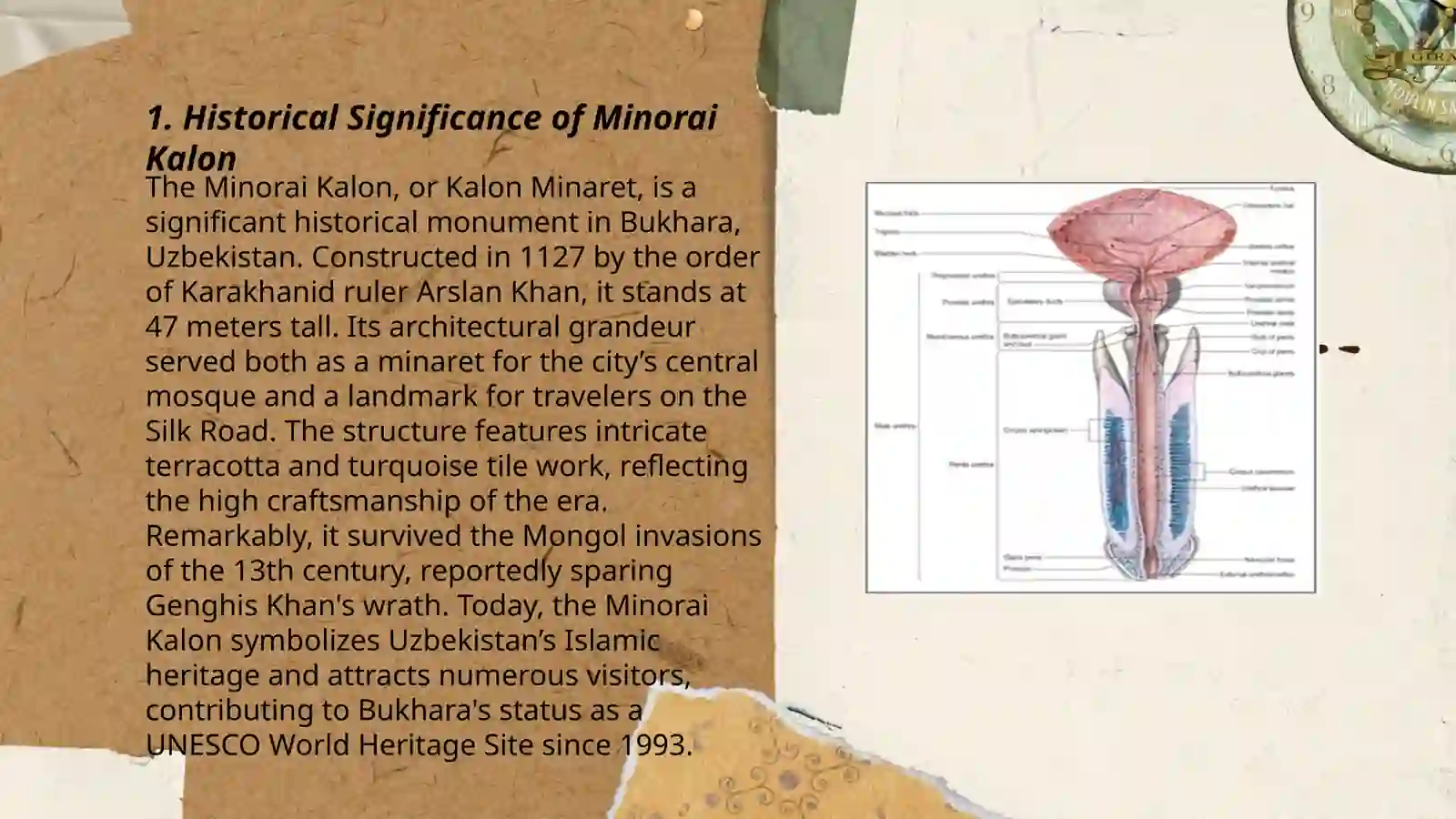 Minorai kalon 3