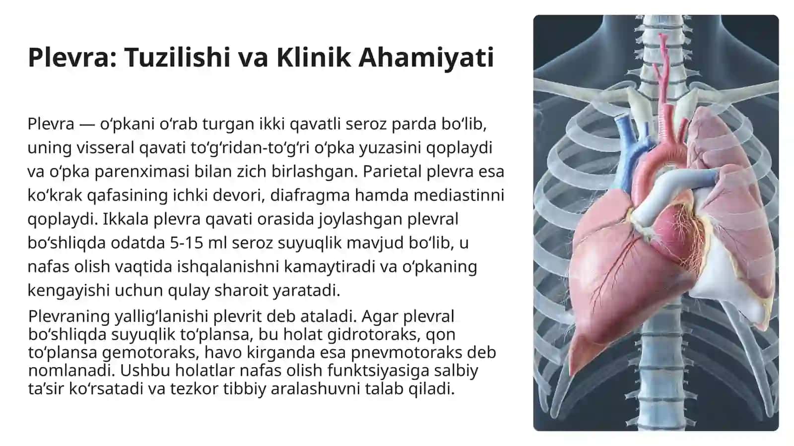 Ko‘krakbo‘shlig‘i:plevra,plevralbo‘shliq,plevralsinuslar,kekirdak,bronxlar,o‘pkalar,o‘pkaildiziklinikanatomiyasi.Plevrabo‘shlig‘inipunksiyaqilishvadrenajlash.O‘pkajarohatigachokqo‘yish.Diafragmachurralarixirurgiyasi 3