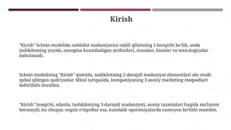 Schein modeli 3