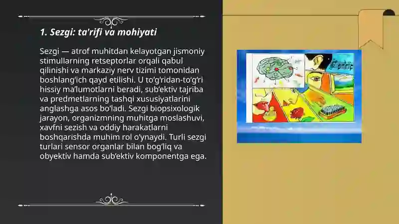 Sezgi 3