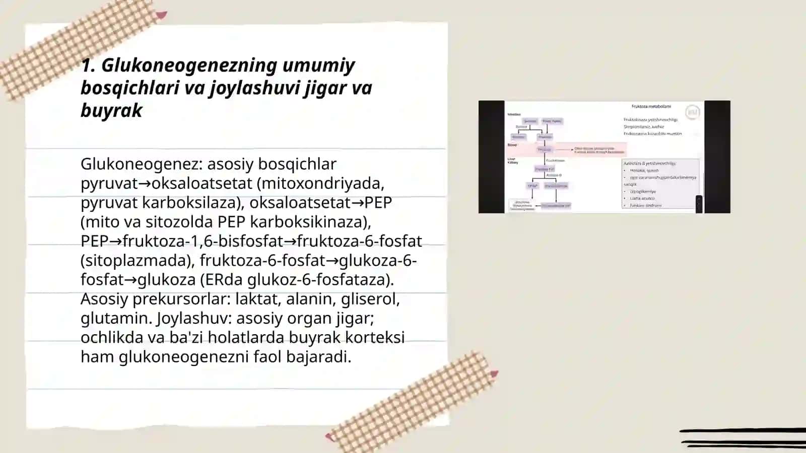 Glukoneogenez, fruktoza va galaktoza metobalizmi Fentoza fosfat yo'li 3
