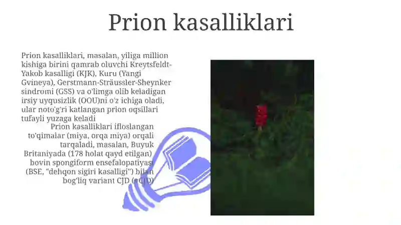 Prion kasalliklari 3