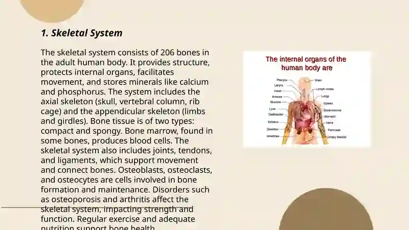 Human Body 3