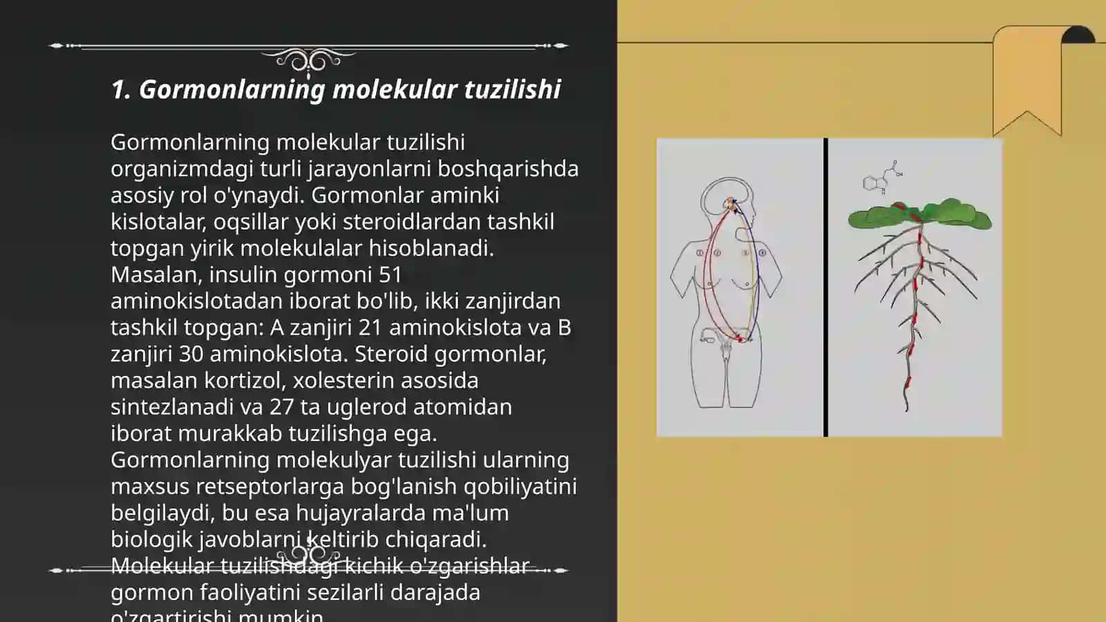 Gormonlarning nishon hujayralarga ta'sir mexanizmi 3