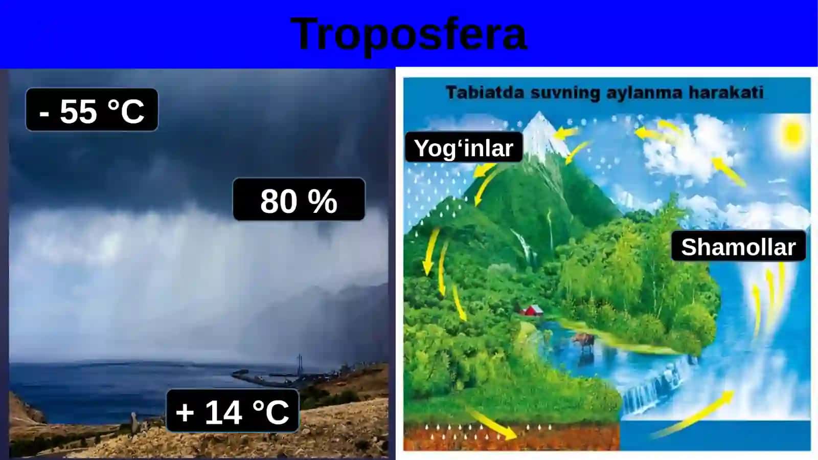 Iqlimo’zgarishivatuproqlarngingifloslanishimuammolariREJA:1 3