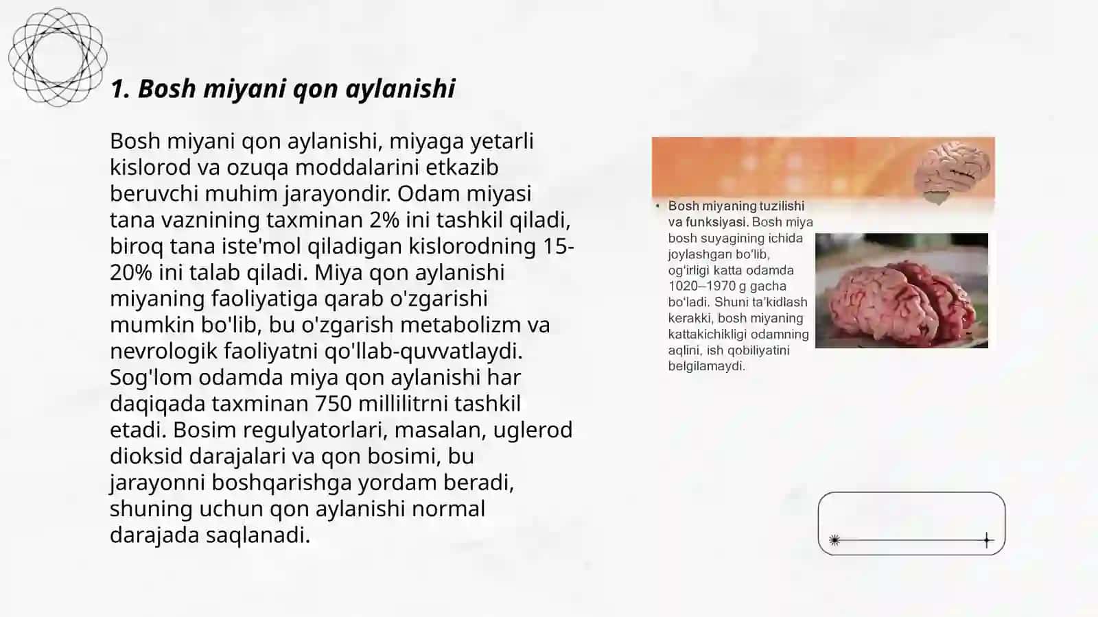 Bosh miyani qon bilan taminlanishi 3