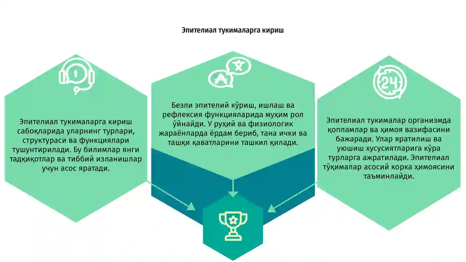 Эпителиал тукималар 3