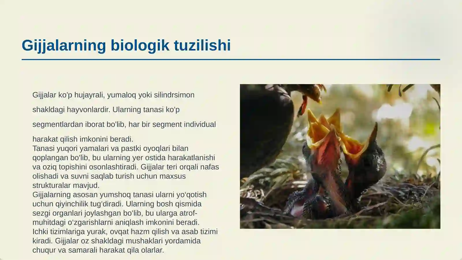GIJJALARGA QARSHI VOSITALAR 3