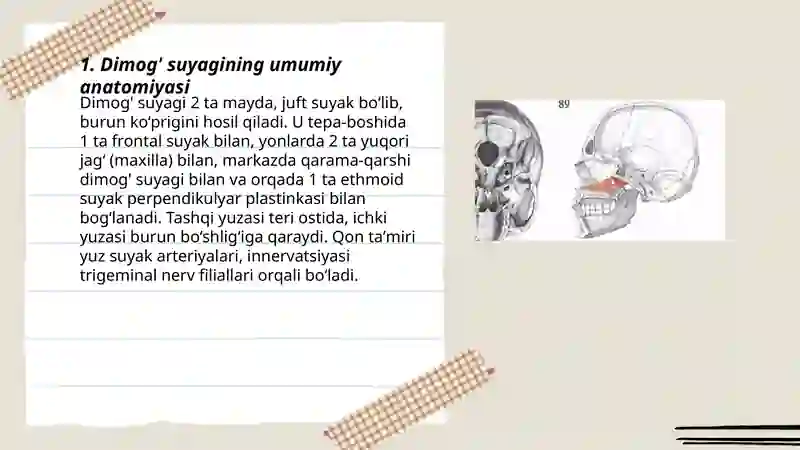 Dimog' suyagi 3
