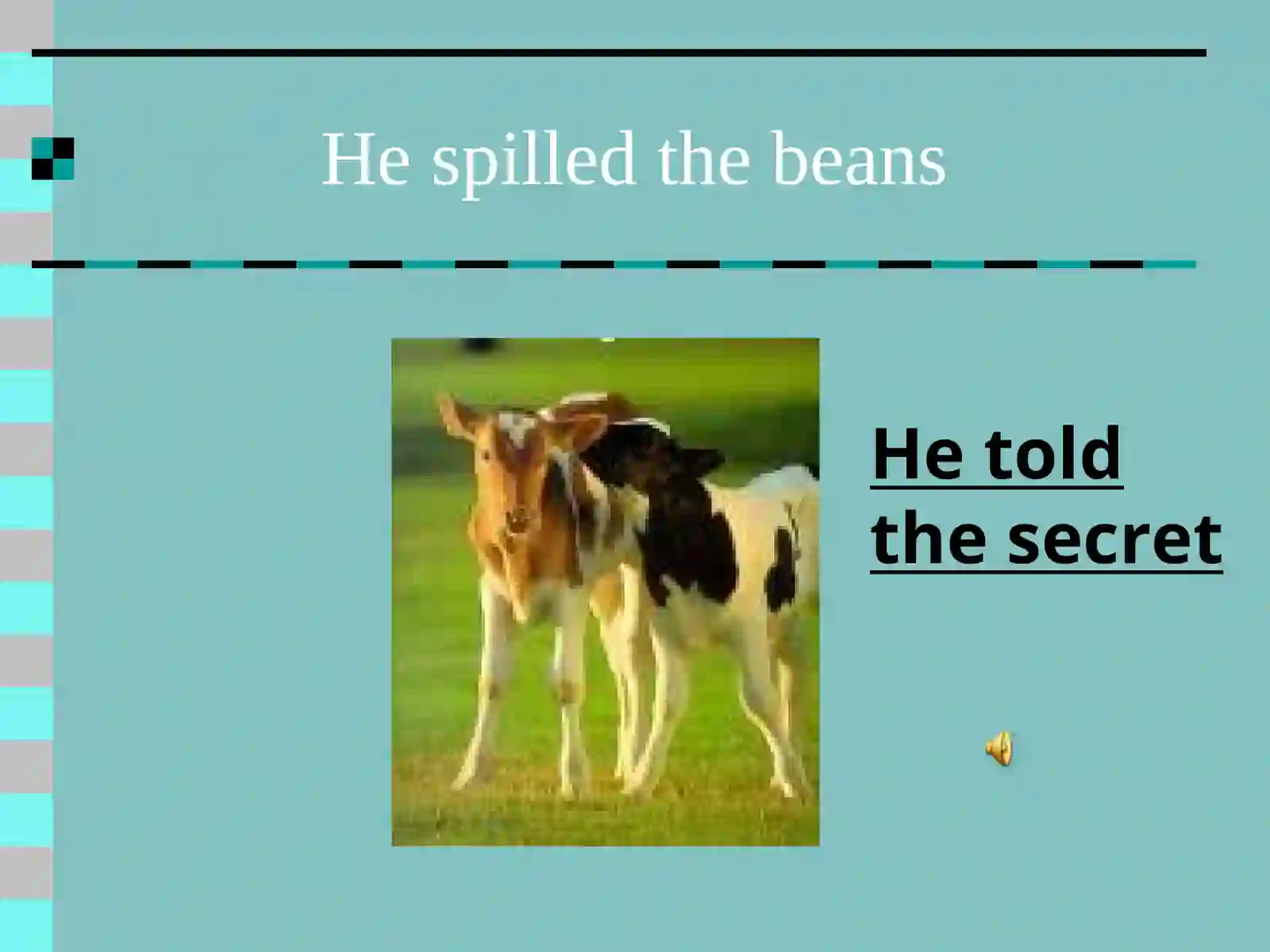 Idiom Dictionary 3