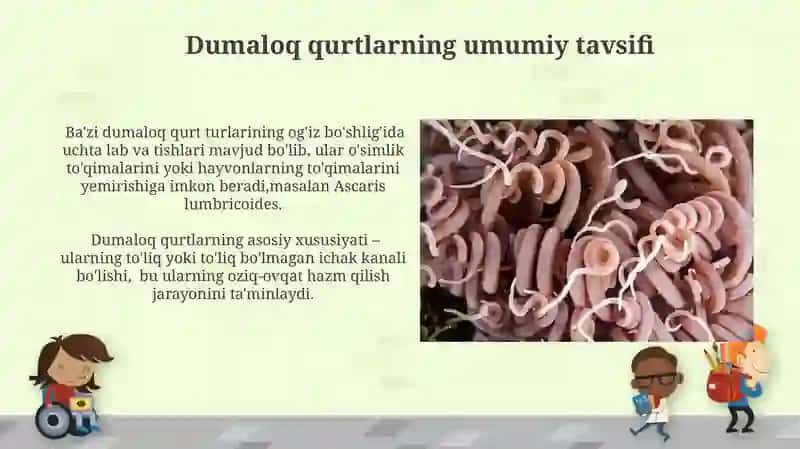 Parazit yumoloq chuvalchanglar,devastatsiya degelmintizitsiya, ovogel mintoskopi 3