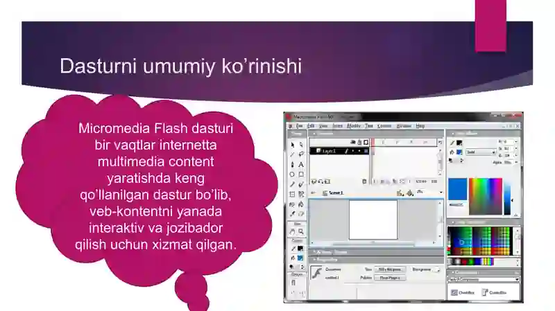 MikromediaFlash dasturi 3