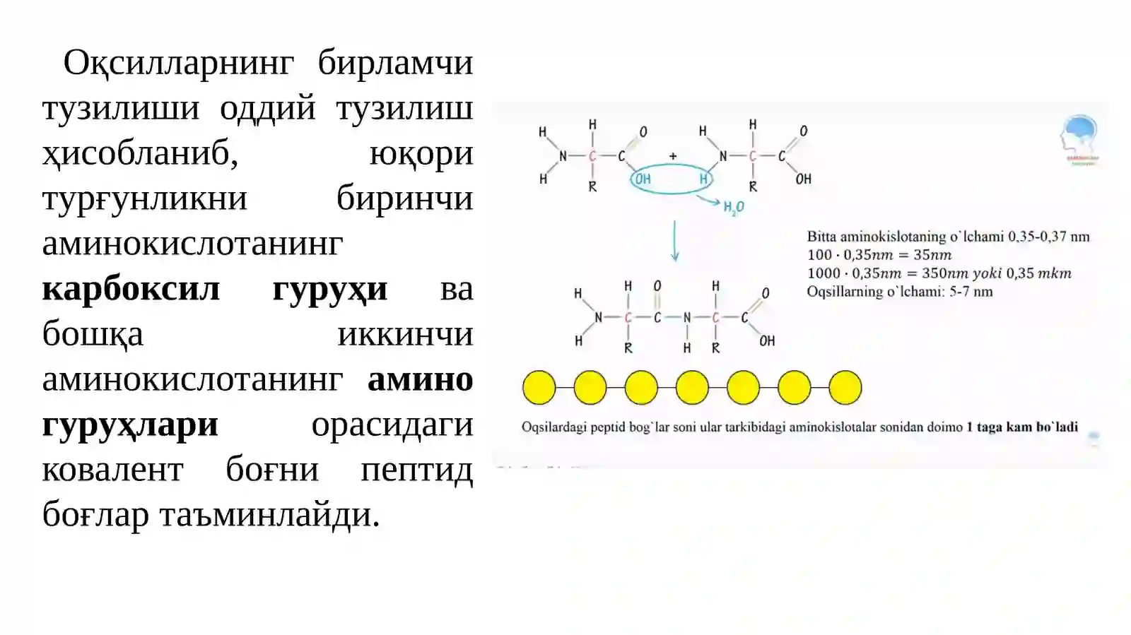 Оқсилларнинг элементар таркиби 3