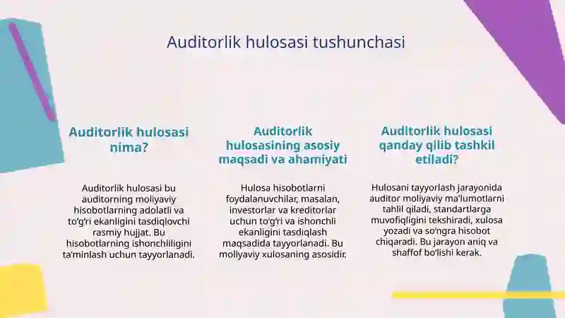 Auditorlik xulosasi 3