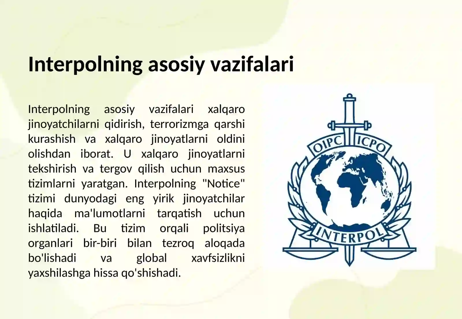 Interpol faoliyati 3
