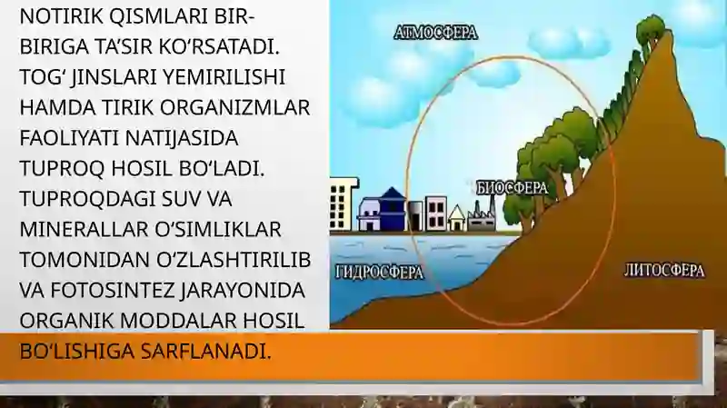 BIOSFERA MODELINI YASASH 3