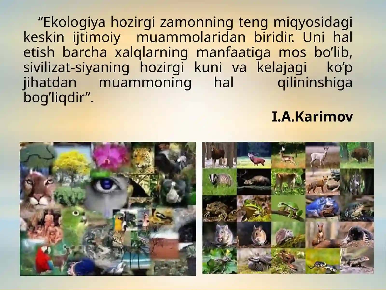 Bioxilma-xillikni saqlash va undan barqaror foydalanish shart-sharoitlari 3