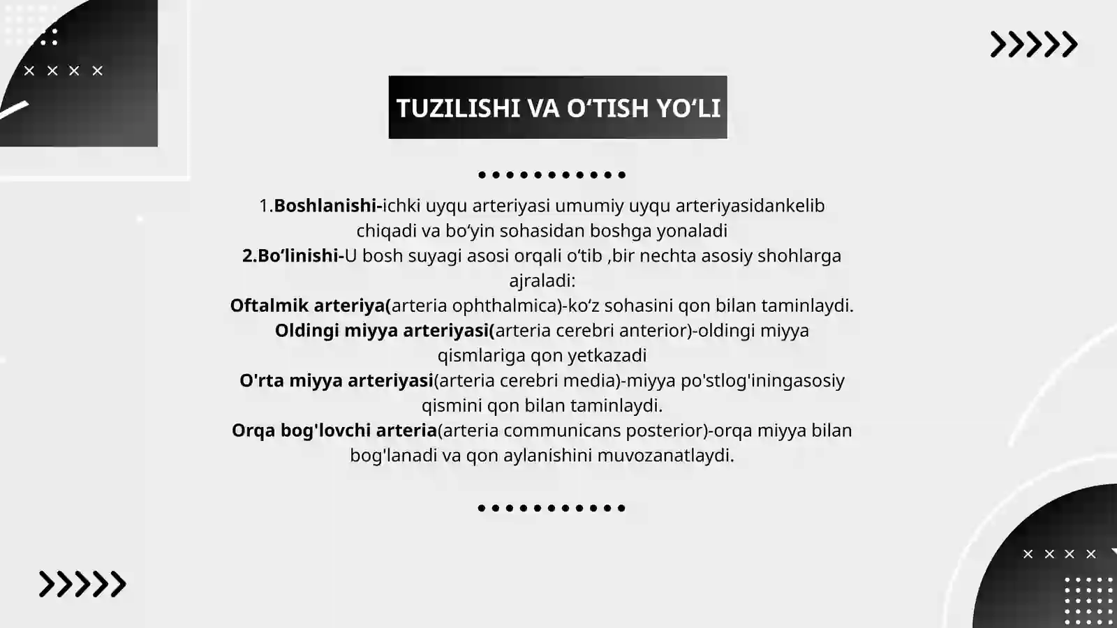 Ichki uyqu arteriyasi 3