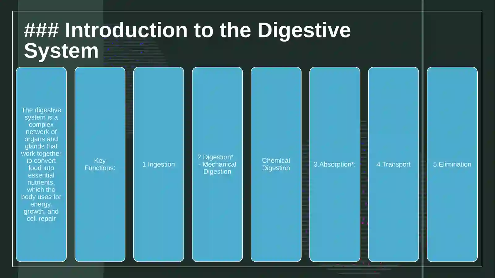 Introduction to the Digestive System 3
