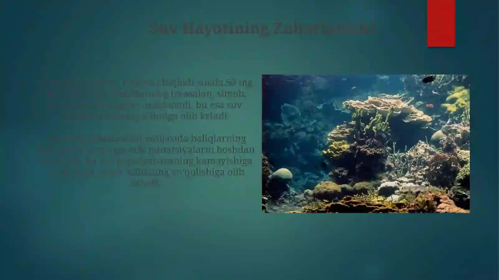 Suv Ekosistemalarining Kimyoviy Ifloslanishi 3