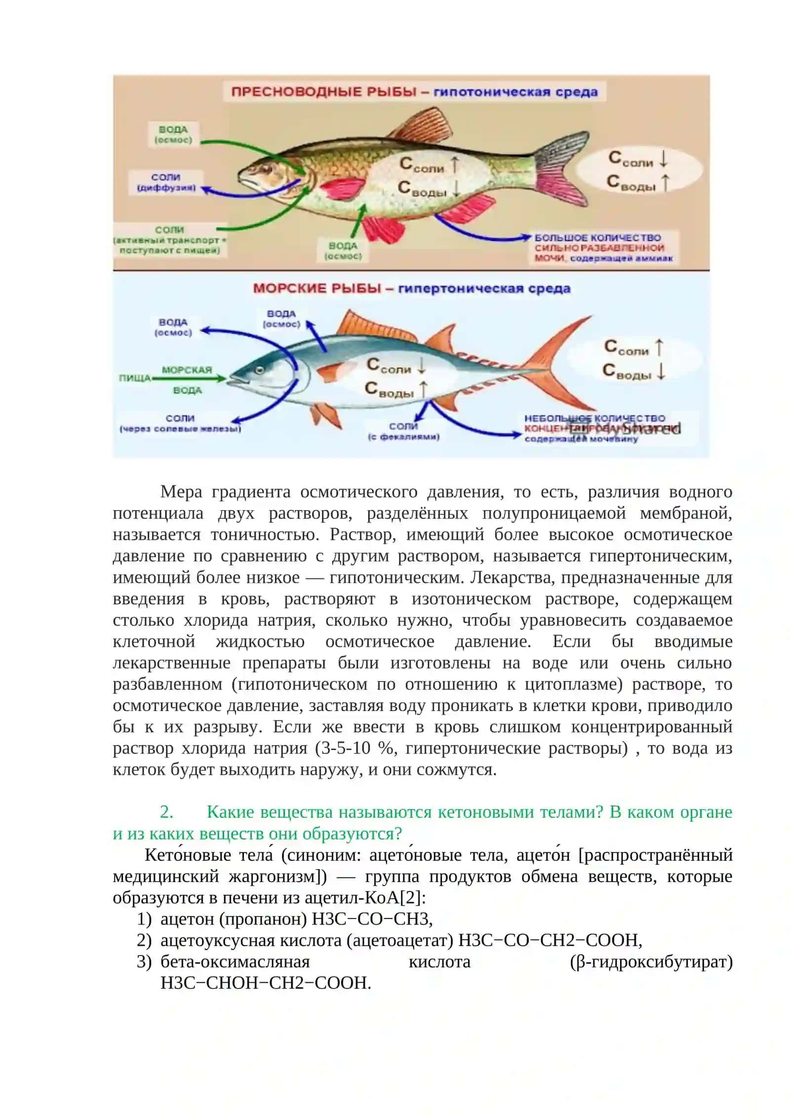 ПРАКТИЧЕСКИЕ ТЕСТЫ 3